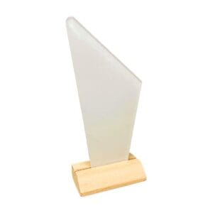 Trofeo de acrílico sublimable 21 x 10 cm